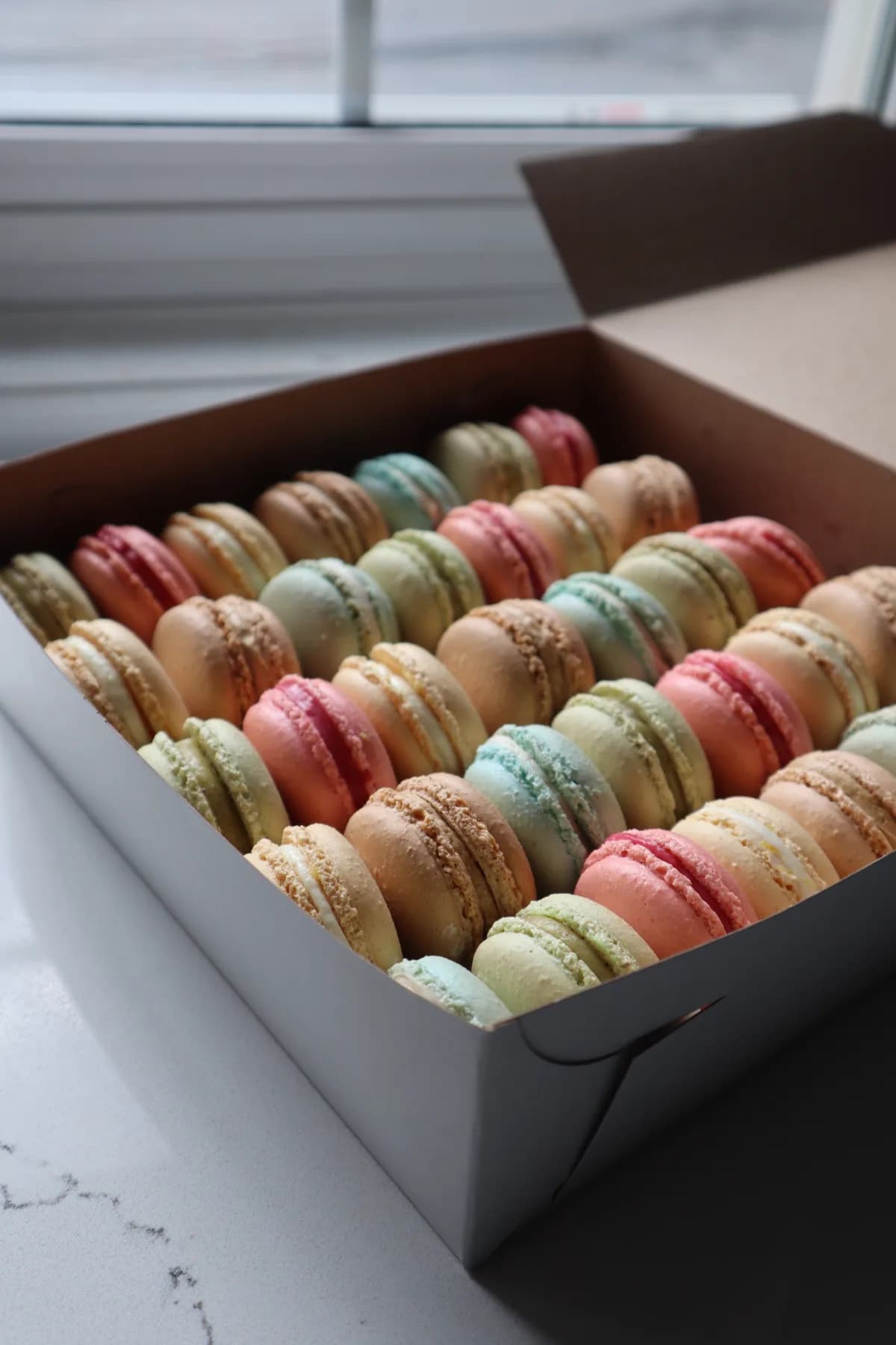 48 Macarons by Danias Dough
